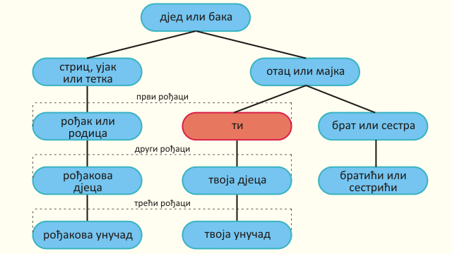 Родослов Шкребића